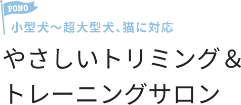 小型犬~超大型犬、猫に対応 やさしいトリミング&トレーニングサロン