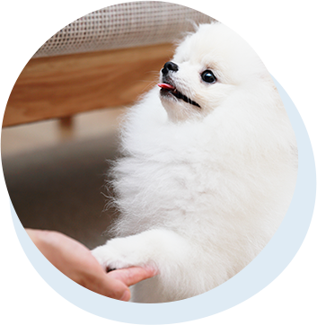 トレーニング